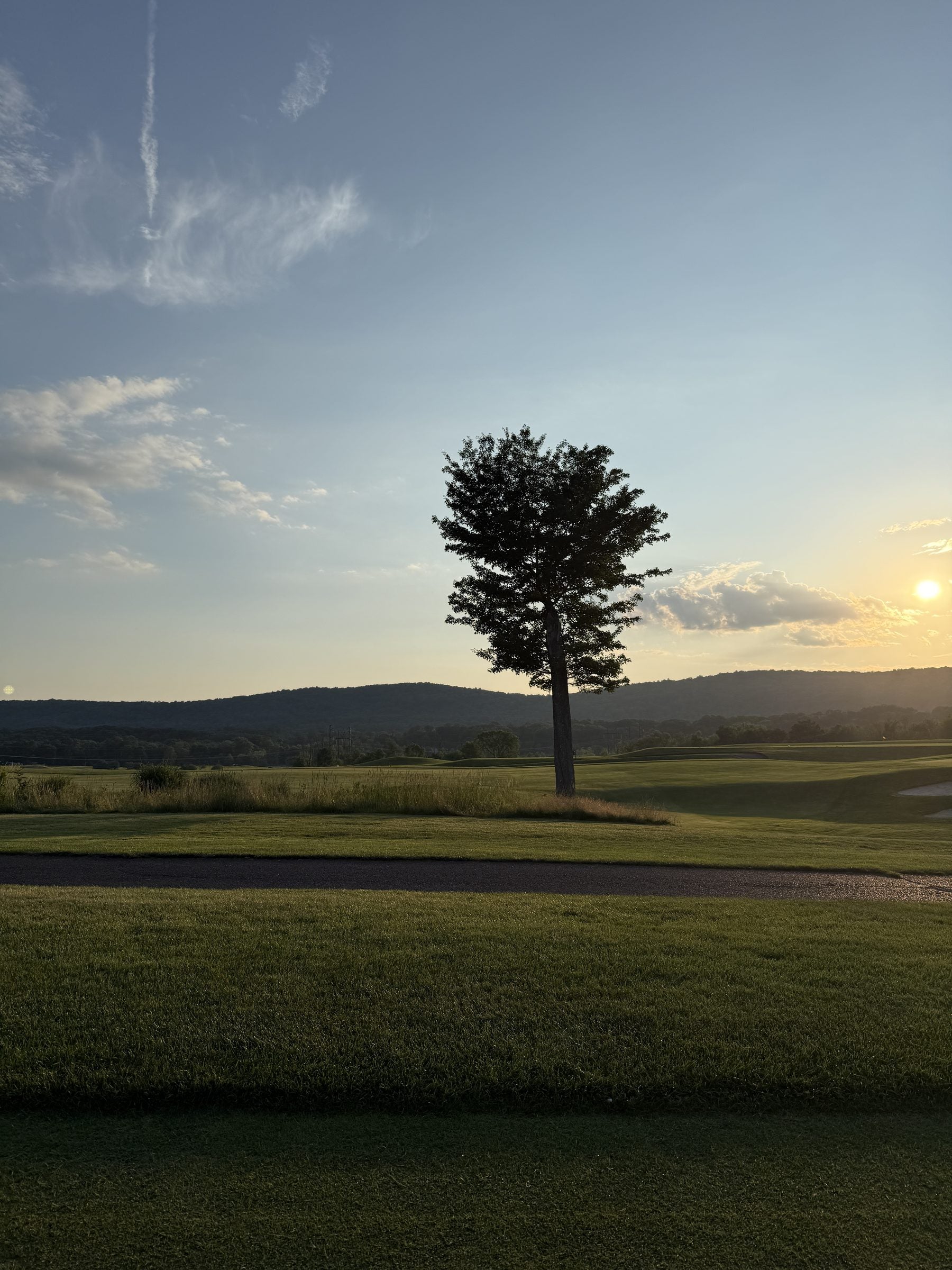 A quiet evening on the course